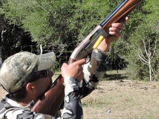 Argentina Dove Hunting Fields