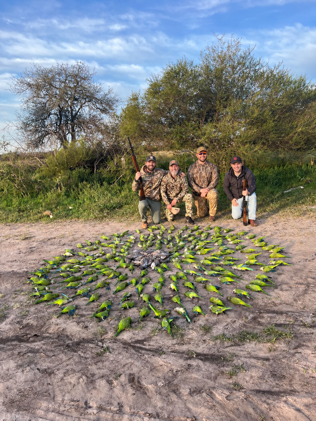 Parakeet hunting in Argentina