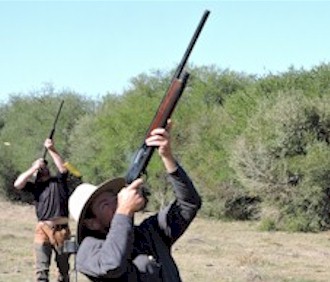 DOVE SHOOTING